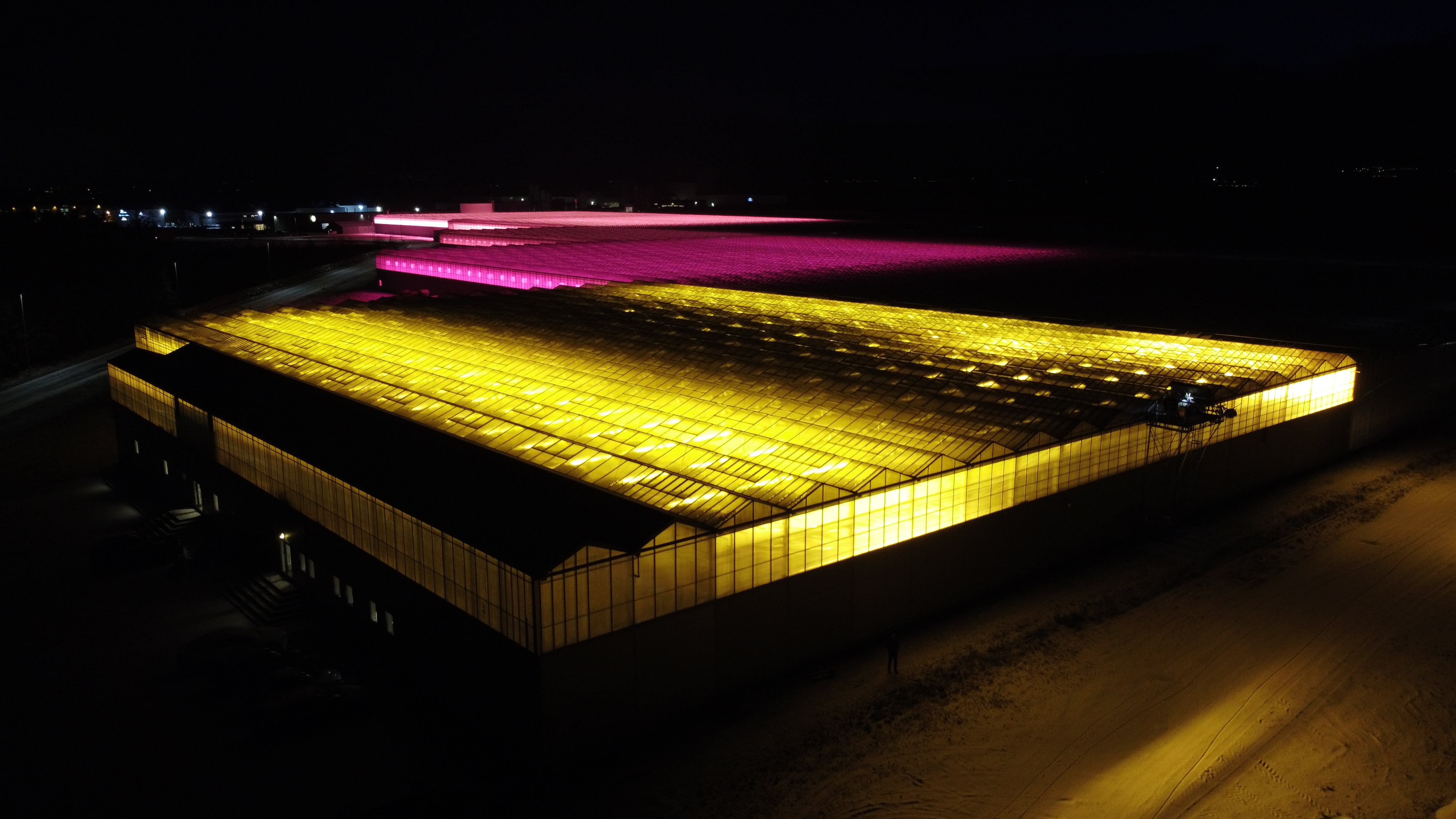 Blomsterrader inne i gartneri