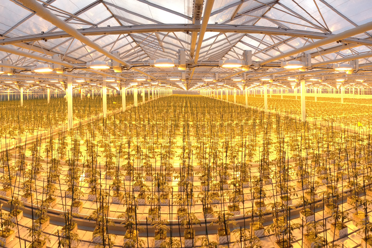 Innsiden gartneri med lys