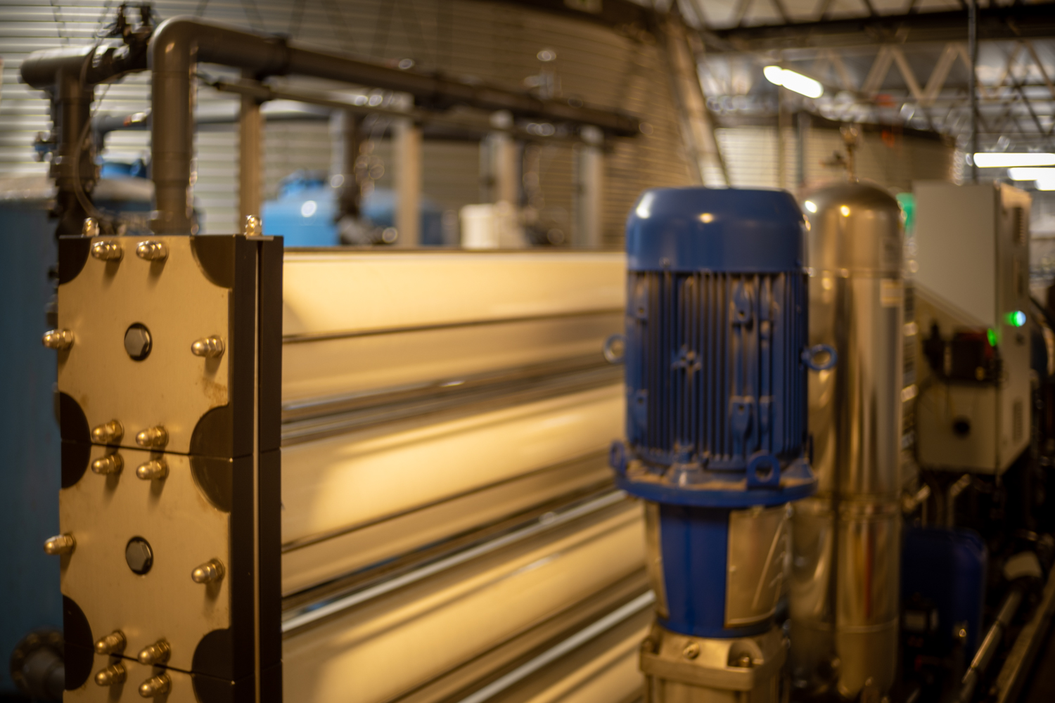 Blomsterrader inne i gartneri