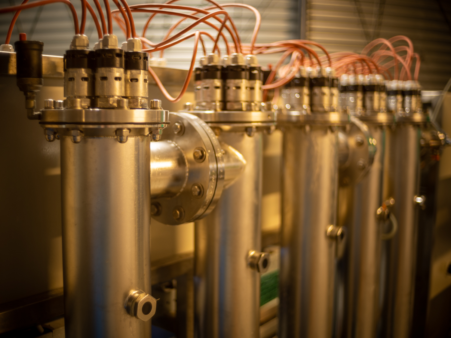 Blomsterrader inne i gartneri