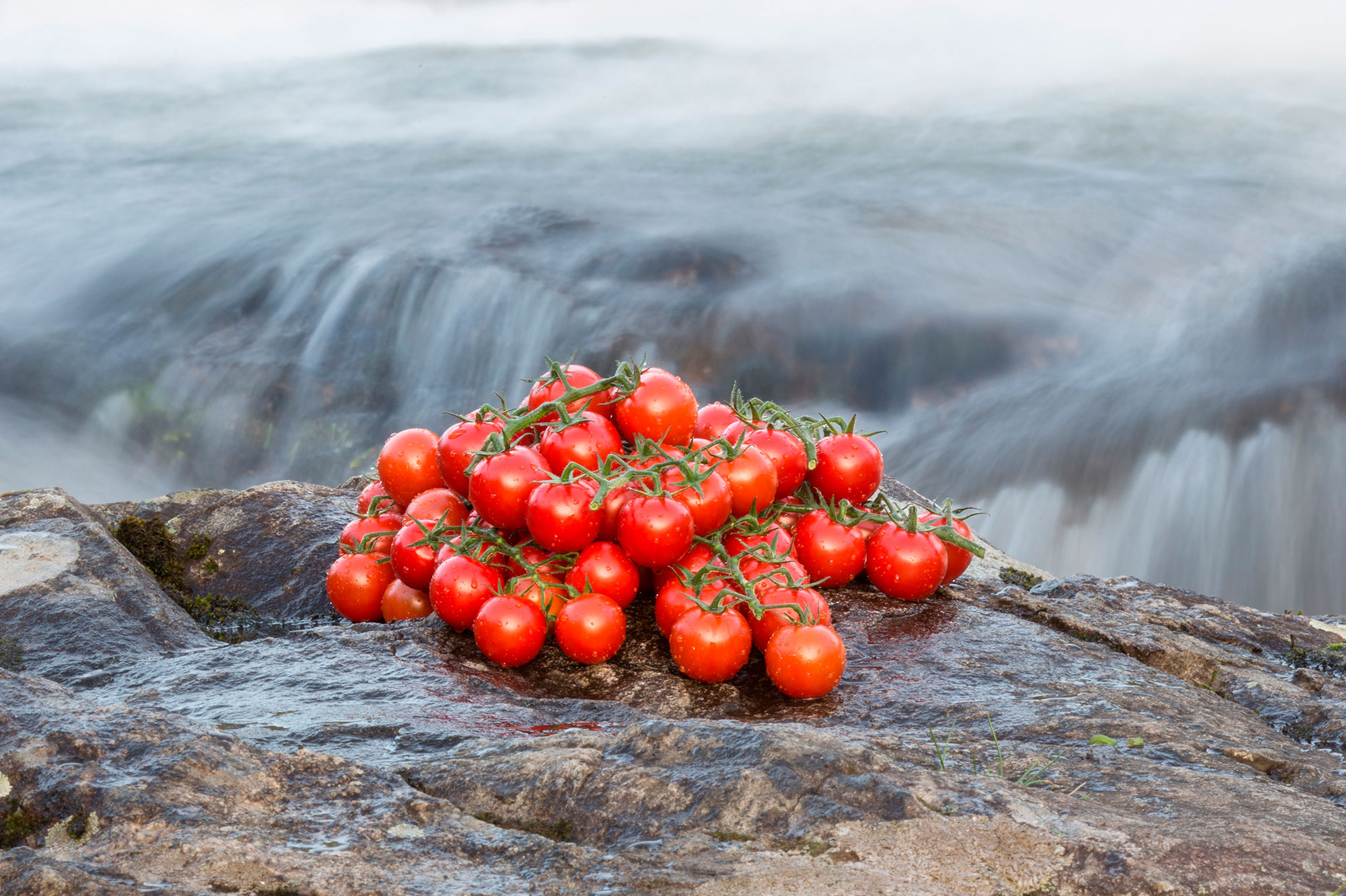 Bakgrunns-banner-smak