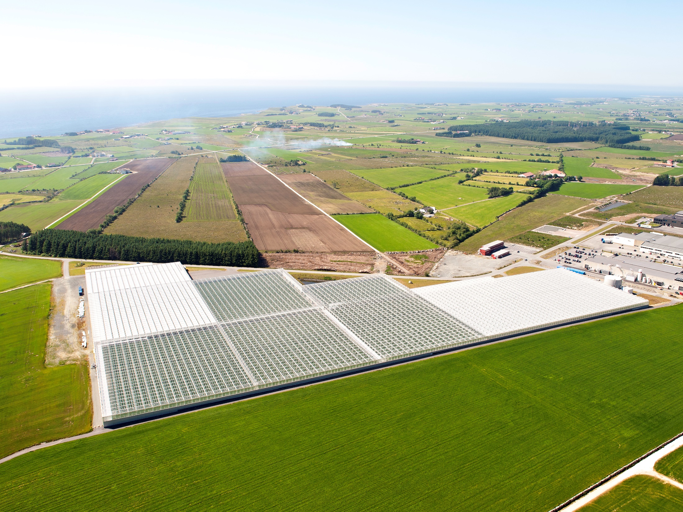 Blomsterrader inne i gartneri